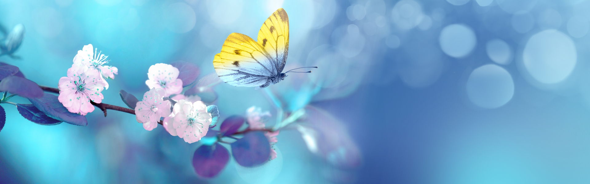 Taming the Anxious Brain With Nature in Mind: The Power of Nature Informed Mental Health